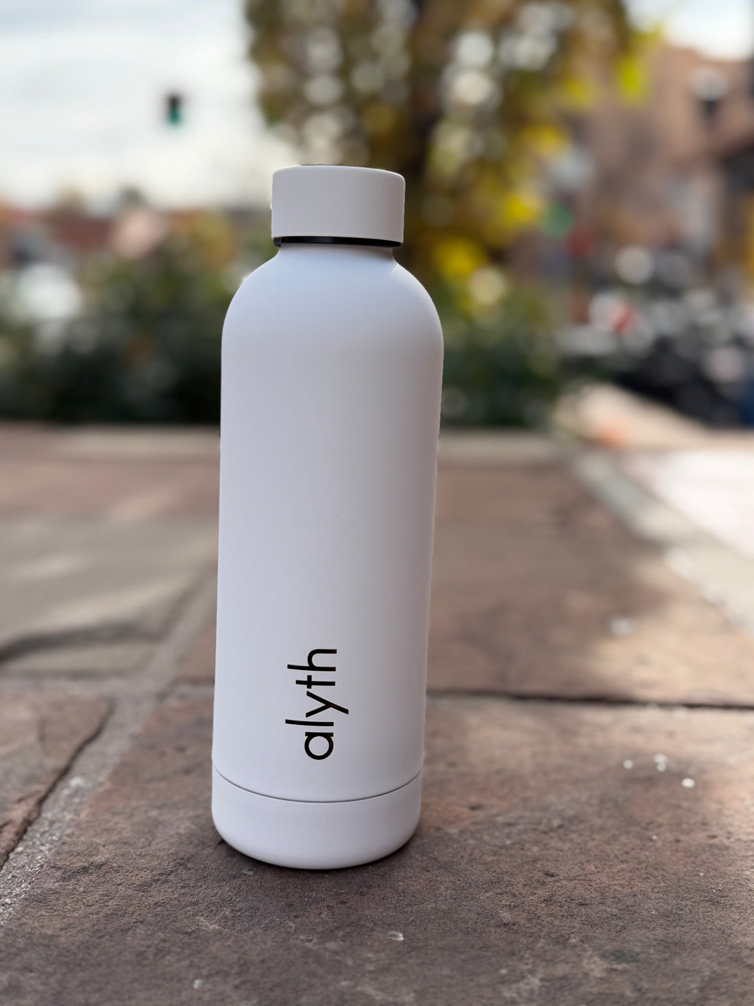Alyth Insulated Stainless Steel Water Bottle With Twist Lid