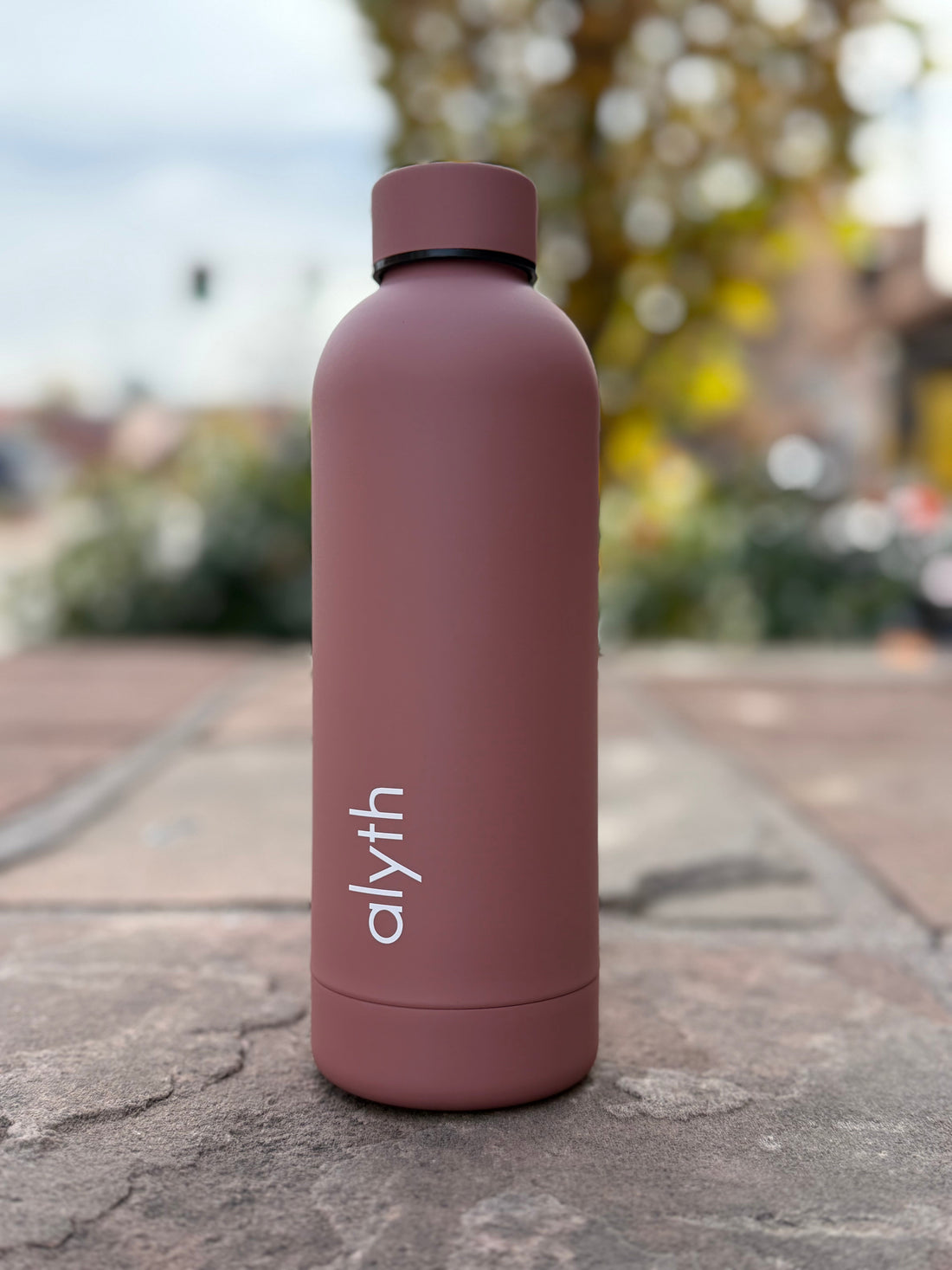 Alyth Insulated Stainless Steel Water Bottle With Twist Lid