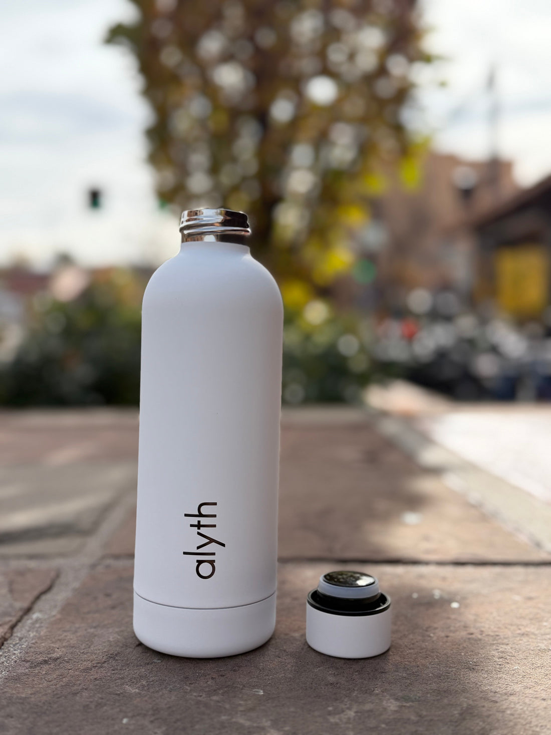Alyth Insulated Stainless Steel Water Bottle With Twist Lid
