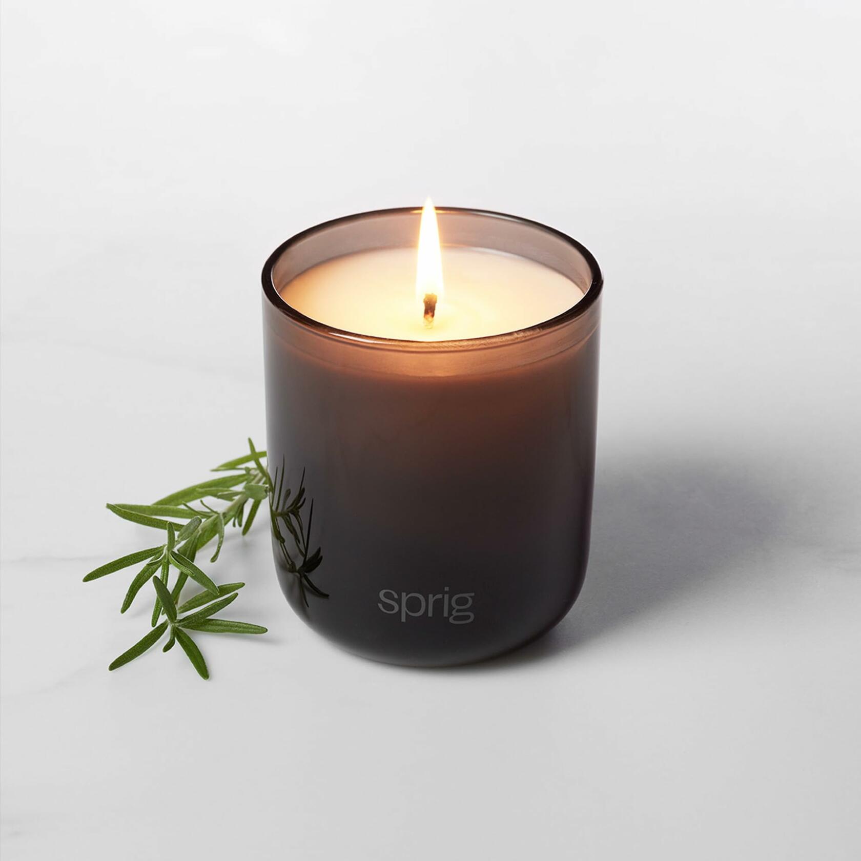 Kohler Sprig Shield Aromatherapy Candle Tea Tree Rosemary