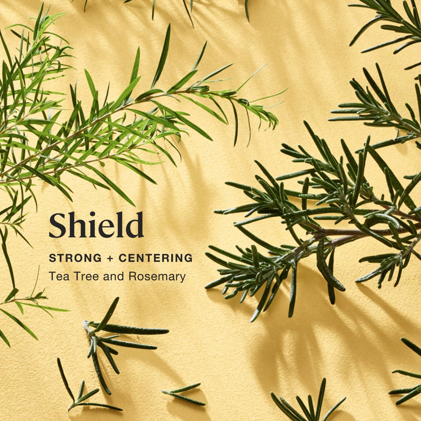 Kohler Sprig Shield Aromatherapy Candle Tea Tree Rosemary